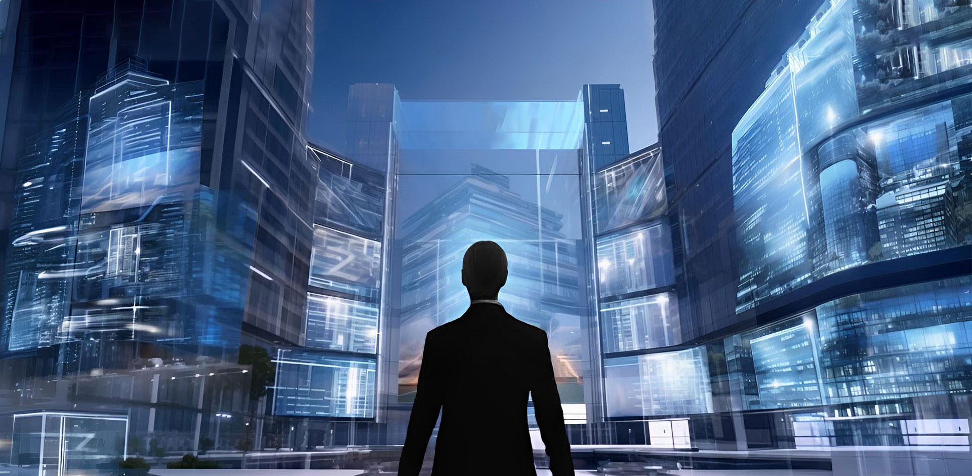 �����������Ż�